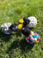 Tessa The Bobbly Sheep