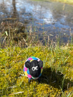 Ziggy The Psychedelic Sheep