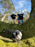 Helen The Herdi Sheep