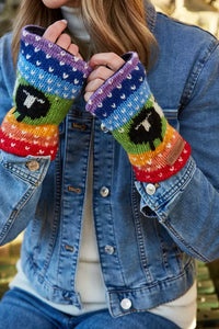 Black Sheep Handwarmer Rainbow