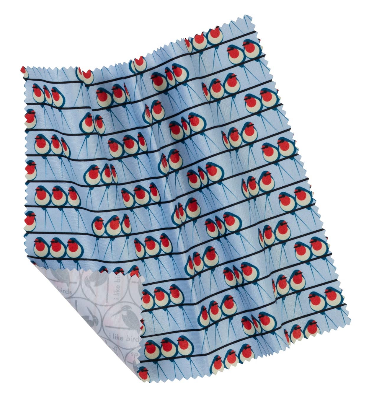 Swallow Glasses Case & Premium Cloth