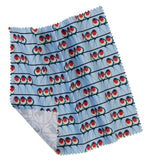 Swallow Glasses Case & Premium Cloth