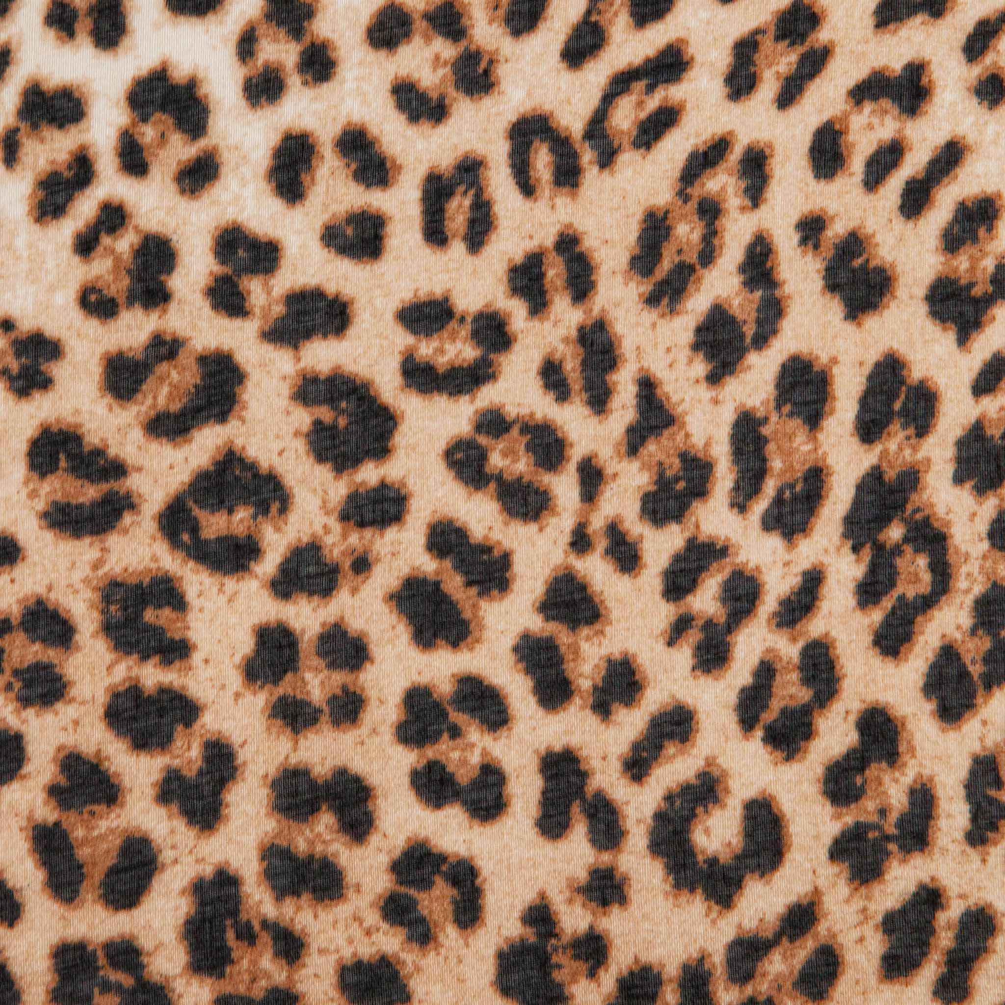 Odessa Lightweight Scarf - Neutral, Leopard: One-size
