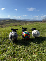 Helen The Herdi Sheep