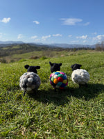 Ziggy The Psychedelic Sheep
