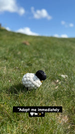 Tessa The Bobbly Sheep