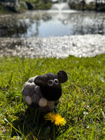 Helen The Herdi Sheep