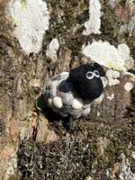 Helen The Herdi Sheep