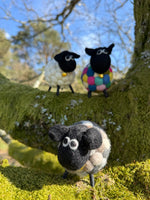 Ziggy The Psychedelic Sheep