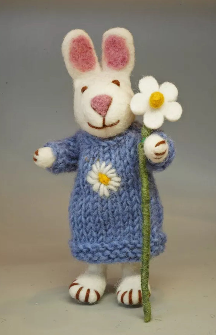 Daisy The Rabbit