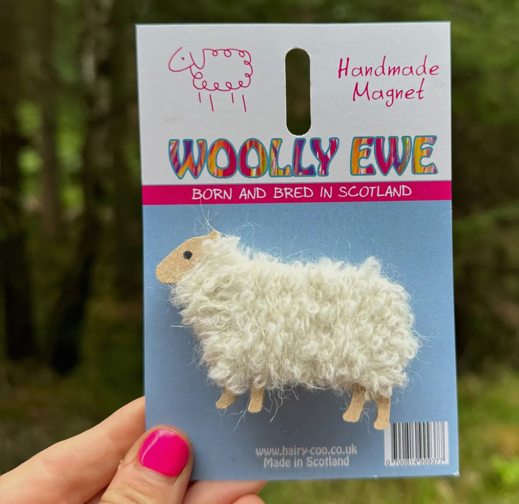 Woolly Sheep Magnet