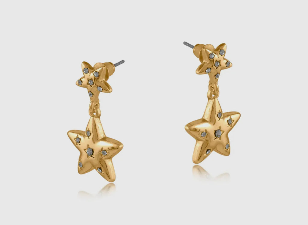 Estelle Organic Star
Profile Earrings 3284