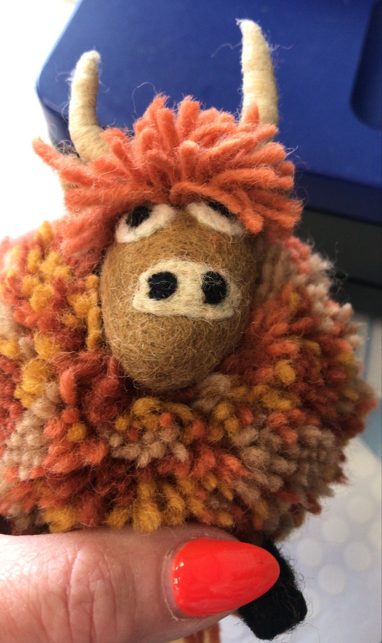 Duncan The Highland Cow