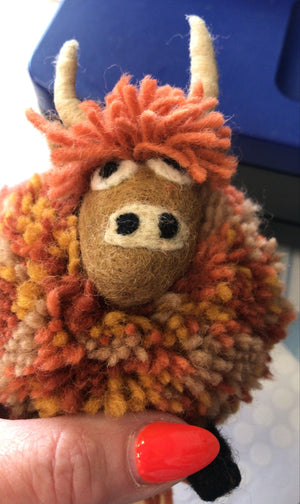 Duncan The Highland Cow
