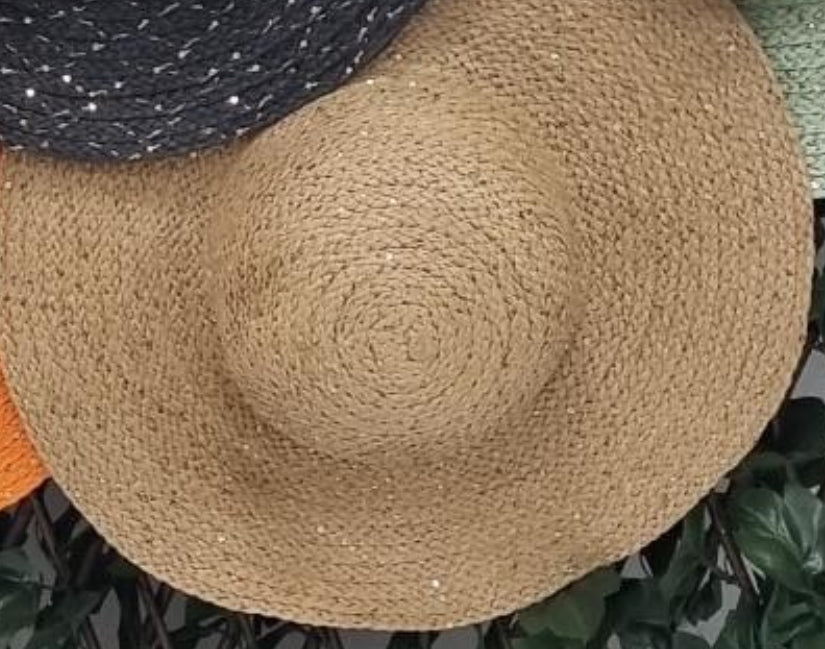 Sequin Summer Hats