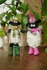 Shearing Sheila