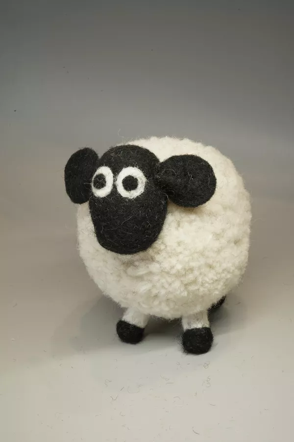 Diana The Domestic Sheep