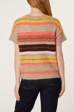 MULTICOLOUR STRIPED BUTTON-THROUGH KNITTED VEST