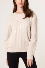 Beige Dainty Sequin Cable Knit Jumper