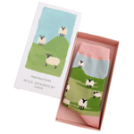 Matchbox Gift Socks