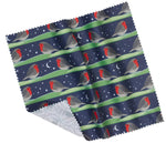 Night Robin Glasses Case & Premium Cloth